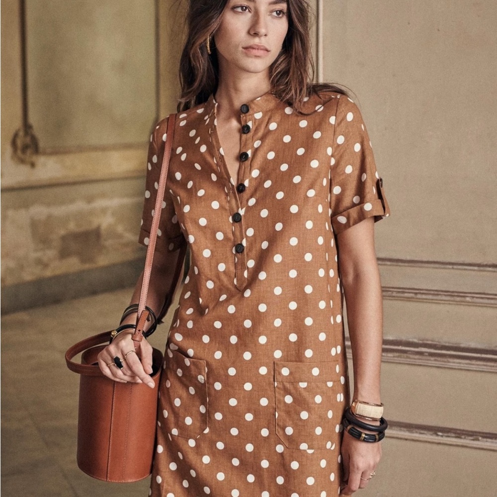 Sezane Brown Polka Dot Dress
